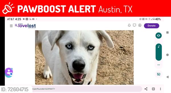 Lost Male Dog last seen wm.cannon , Austin, TX 78744