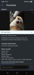 Lost Male Dog last seen Old Brownsville , Memphis, TN 38135