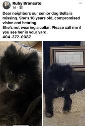 Lost Female Dog last seen Chestatee Landing, Gainesville, GA 30506