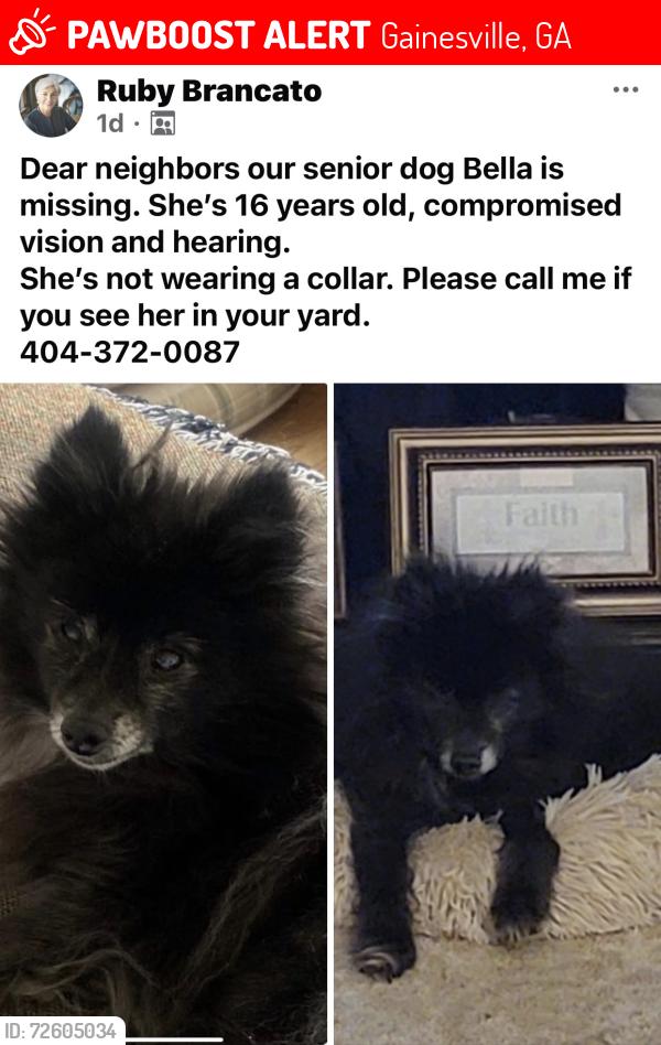 Lost Female Dog last seen Chestatee Landing, Gainesville, GA 30506