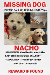 Lost Male Dog last seen Wintergreen St. & JFK Dr. In Moreno Valley , Moreno Valley, CA 92553
