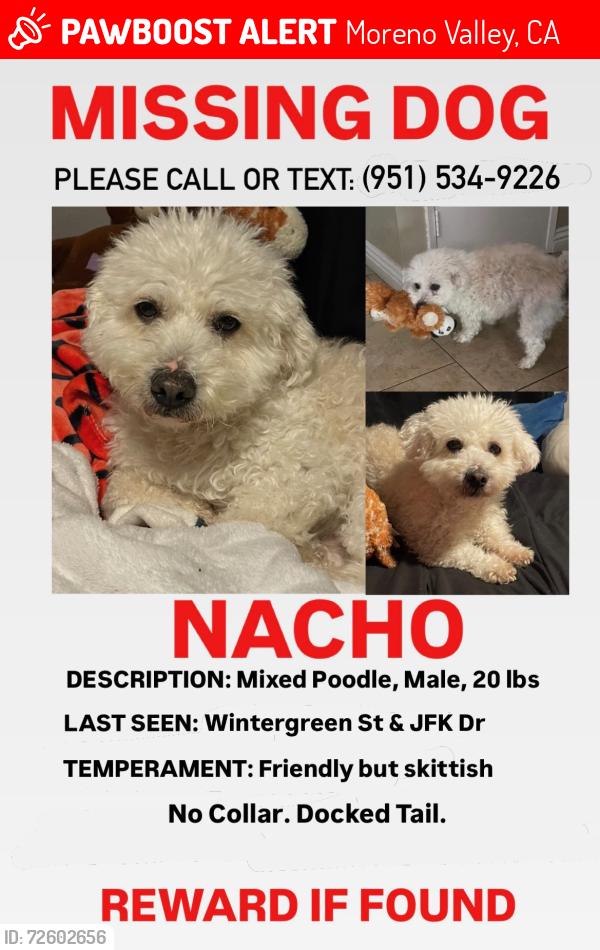 Lost Male Dog last seen Wintergreen St. & JFK Dr. In Moreno Valley , Moreno Valley, CA 92553