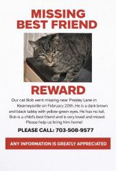 Lost Male Cat last seen Hidden Hollow Drive and Presley Lane, Jefferson County, WV 25430