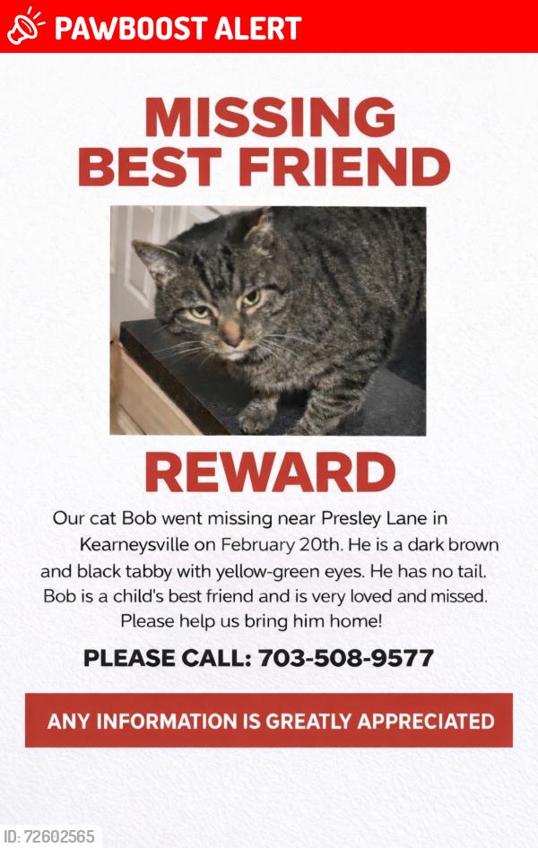 Lost Male Cat last seen Hidden Hollow Drive and Presley Lane, Jefferson County, WV 25430
