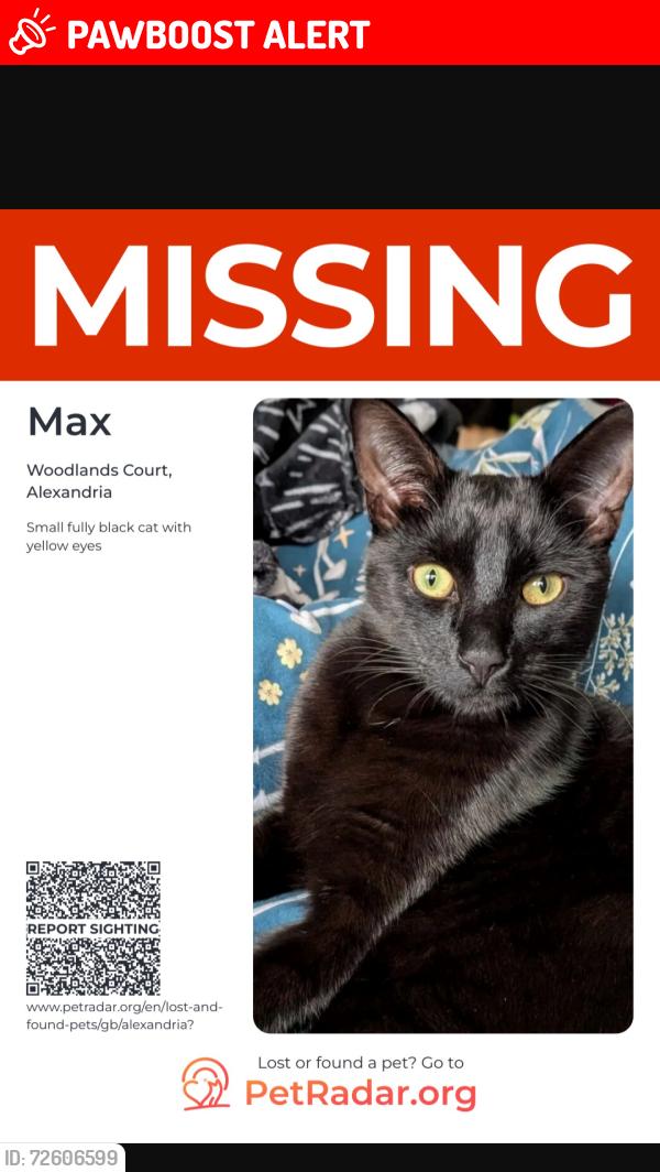 Lost Male Cat last seen Tullichewan Alexandria g83, West Dunbartonshire Council, Scotland G83 0SN