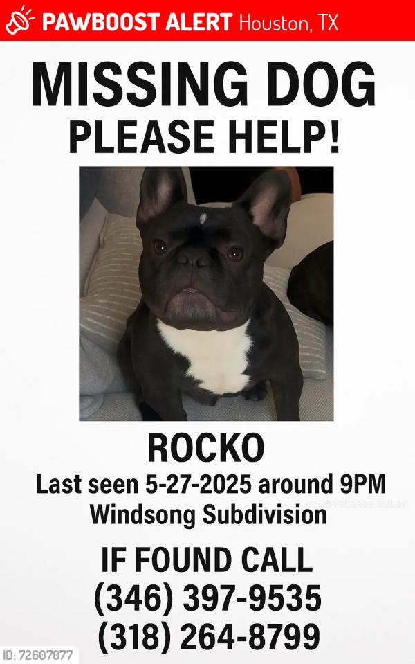 Lost Male Dog last seen Winding subdivision , Houston, TX 77084