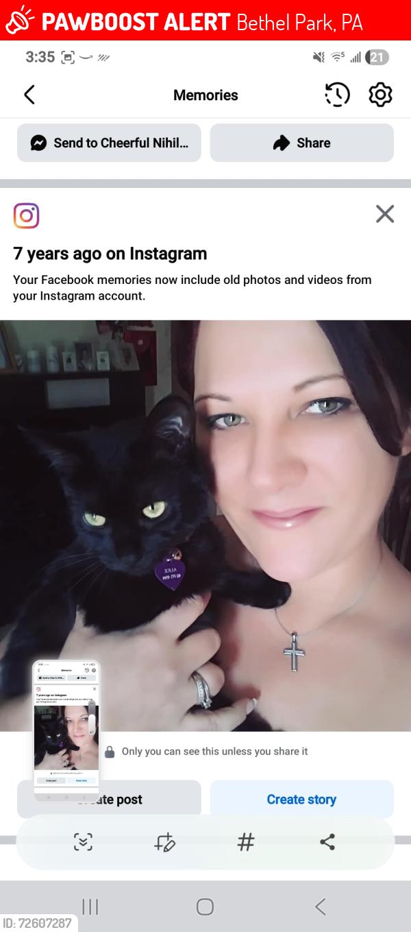 Lost Female Cat last seen Sheetz, Bethel Park, PA 15102