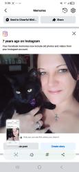 Lost Female Cat last seen Sheetz, Bethel Park, PA 15102