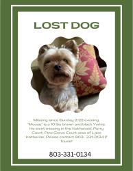 Lost Male Dog last seen Lake Katherine Neighborhood, Columbia, SC 29206
