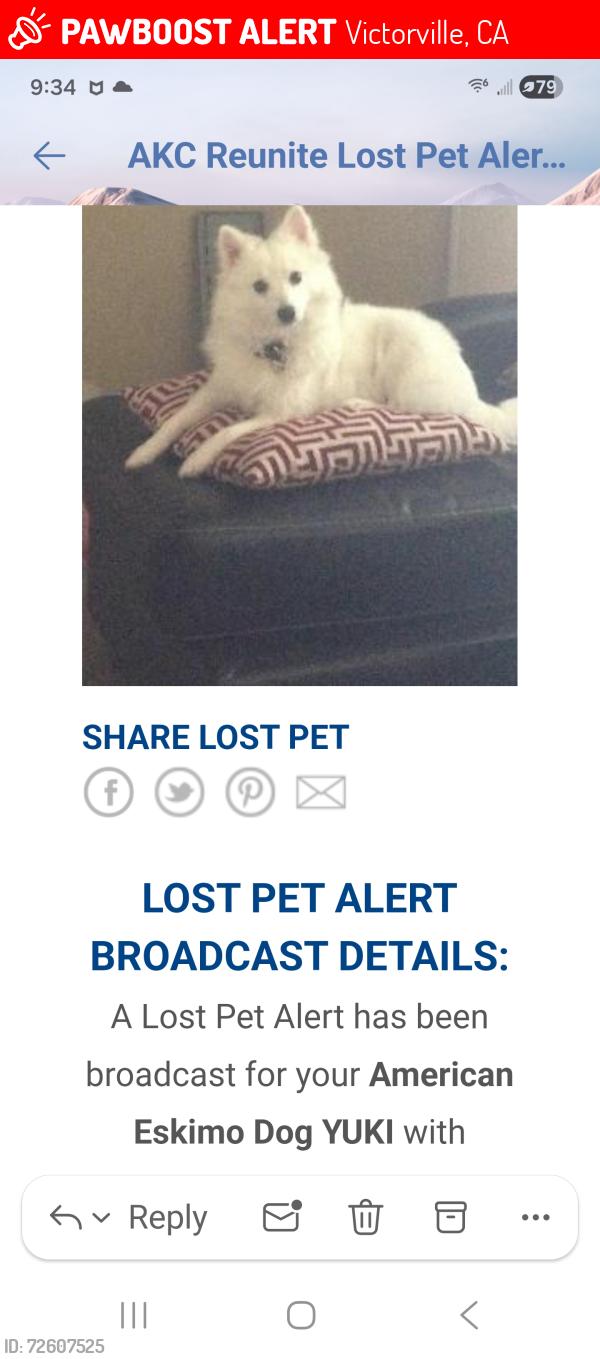 Lost Female Dog last seen Clovis st and Village Dr, Victorville, CA 92394