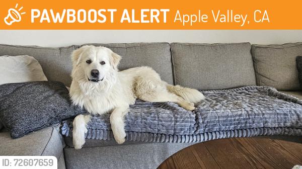 Found/Stray Male Dog last seen Near Outer Hwy 18 S, Apple Valley, CA 92307·3.7 mi, Apple Valley, CA 92307