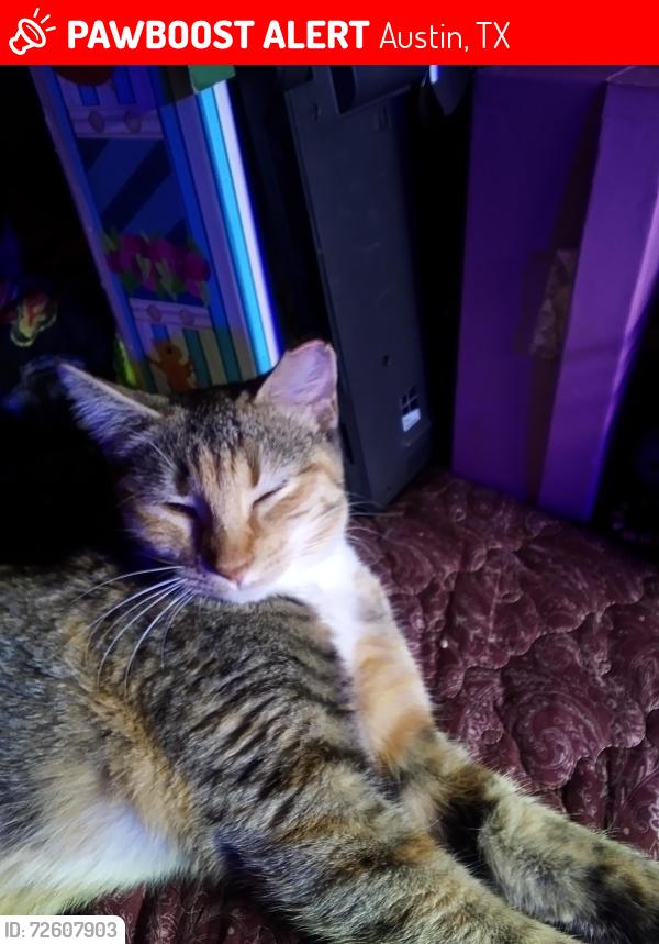 Lost Female Cat last seen Montopolis ponca, Austin, TX 78741
