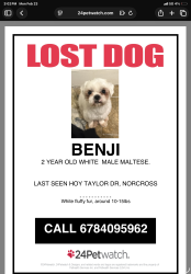 Lost Male Dog last seen Singleton Road Activity Building , Norcross, GA 30093