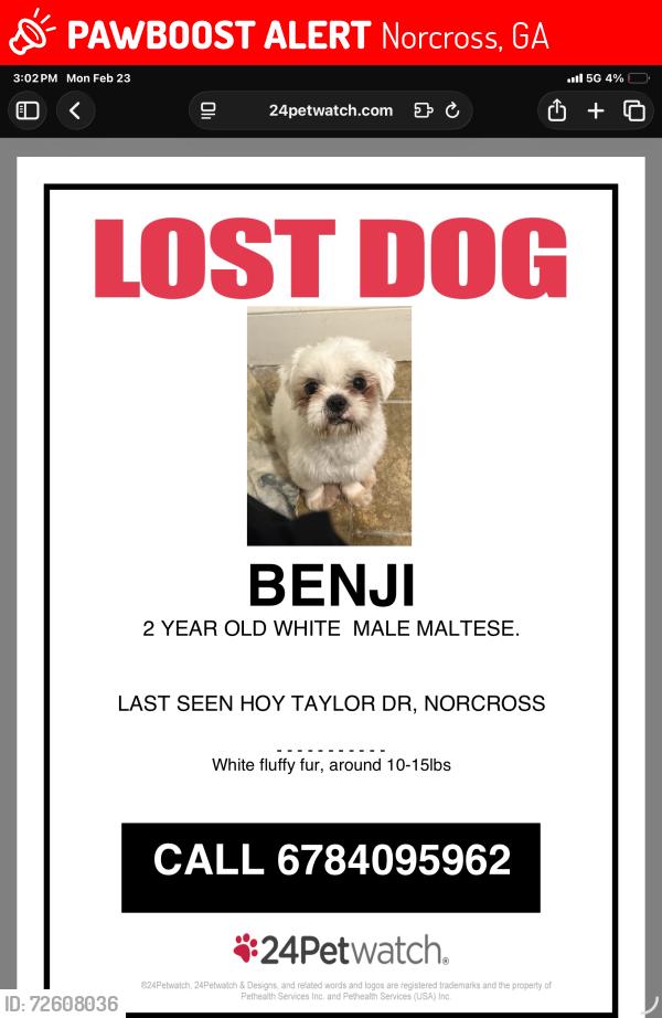 Lost Male Dog last seen Singleton Road Activity Building , Norcross, GA 30093
