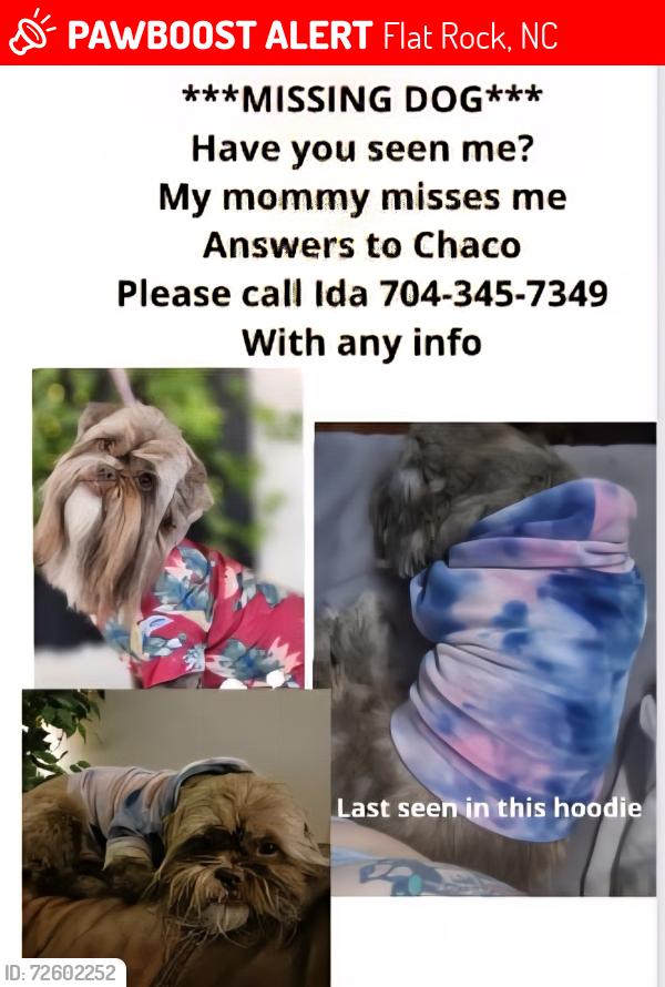 Lost Male Dog last seen Princess Ann/kanuga, Flat Rock, NC 28731