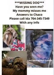 Lost Male Dog last seen Princess Ann/kanuga, Flat Rock, NC 28731