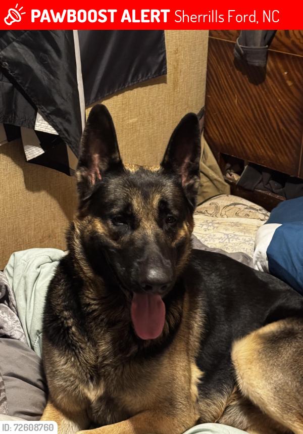 Lost Male Dog last seen Sherrills ford rd, Sherrills Ford, NC 28673