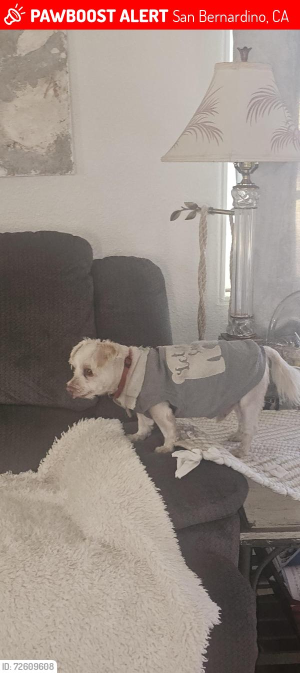 Lost Male Dog last seen Sierra ave , San Bernardino, CA 92405