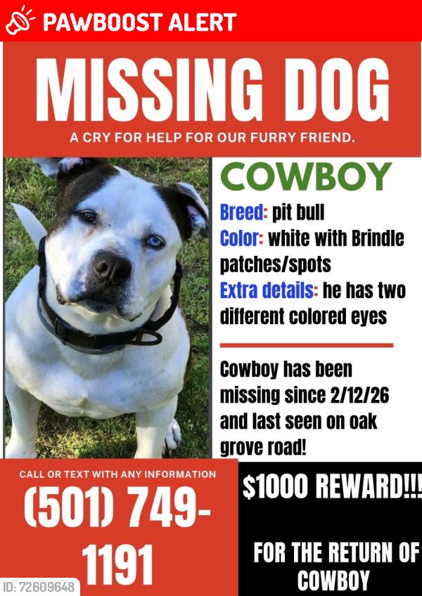 Lost Male Dog last seen Oak grove rd NLR , North Little Rock, AR 72118