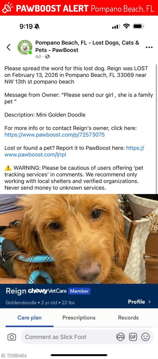 Lost Female Dog last seen Pompano , Pompano Beach, FL 33069