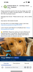 Lost Female Dog last seen Pompano , Pompano Beach, FL 33069