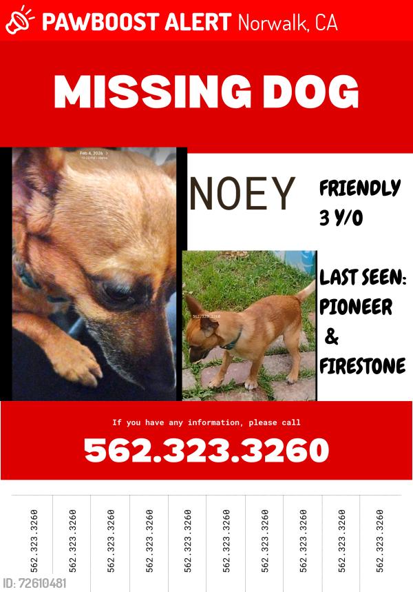 Lost Male Dog last seen North gate shopping center, Norwalk, CA 90650