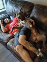 Lost Male Dog last seen Around new Orleans area, Broussard, LA 70518