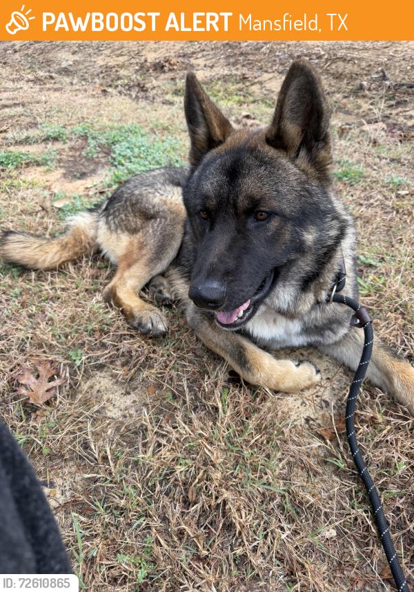 Found/Stray Male Dog last seen Calendar Hill Road and Highway 287 Service Rd., Mansfield, TX 76063