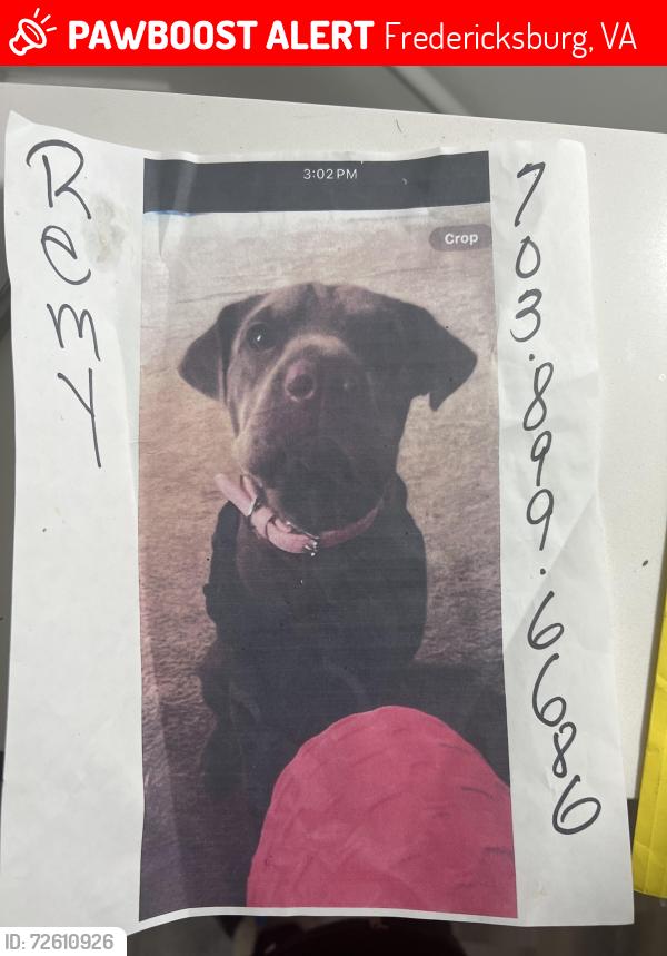 Lost Female Dog last seen Thornton Rolling Rd and Patrick Lane, Fredericksburg, VA 22408