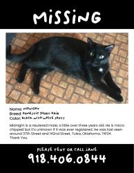 Lost Male Cat last seen 37th Street and 142nd E Avenue, Tulsa, OK 74134
