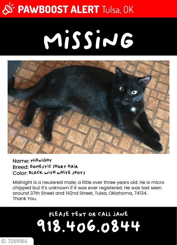 Lost Male Cat last seen 37th Street and 142nd E Avenue, Tulsa, OK 74134