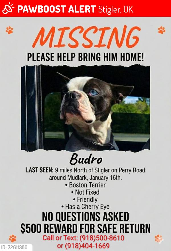 Lost Male Dog last seen Perry Road Mudlark area, Stigler, OK 74462