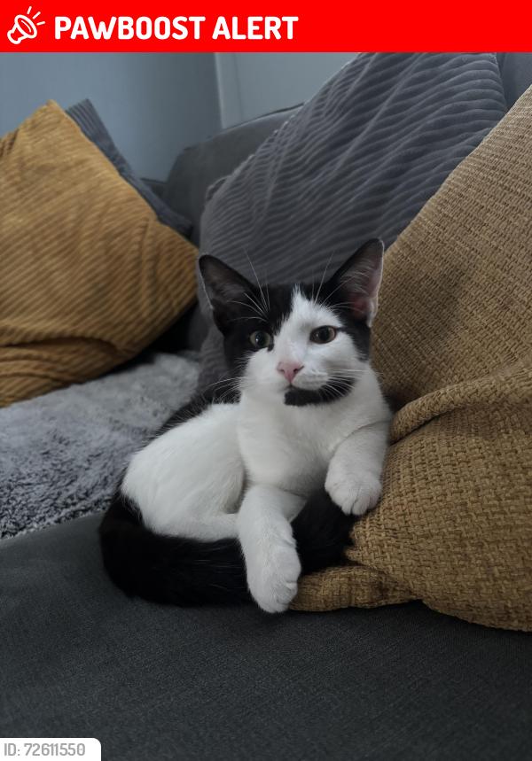 Lost Male Cat last seen Gill street, West Bromwich, England 