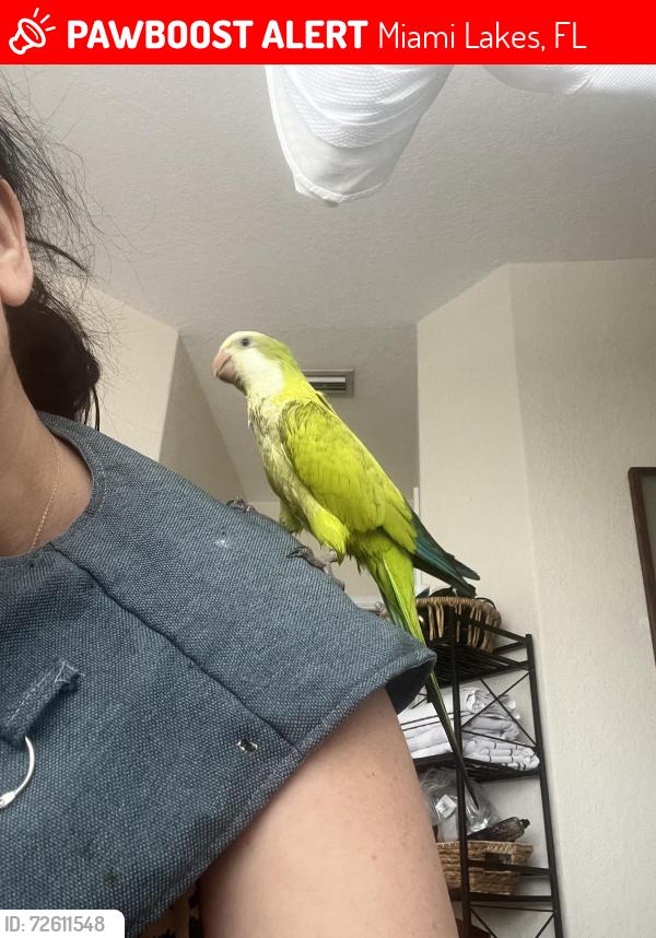 Lost Unknown Bird last seen Nw 176 st, Miami Lakes, FL 33014