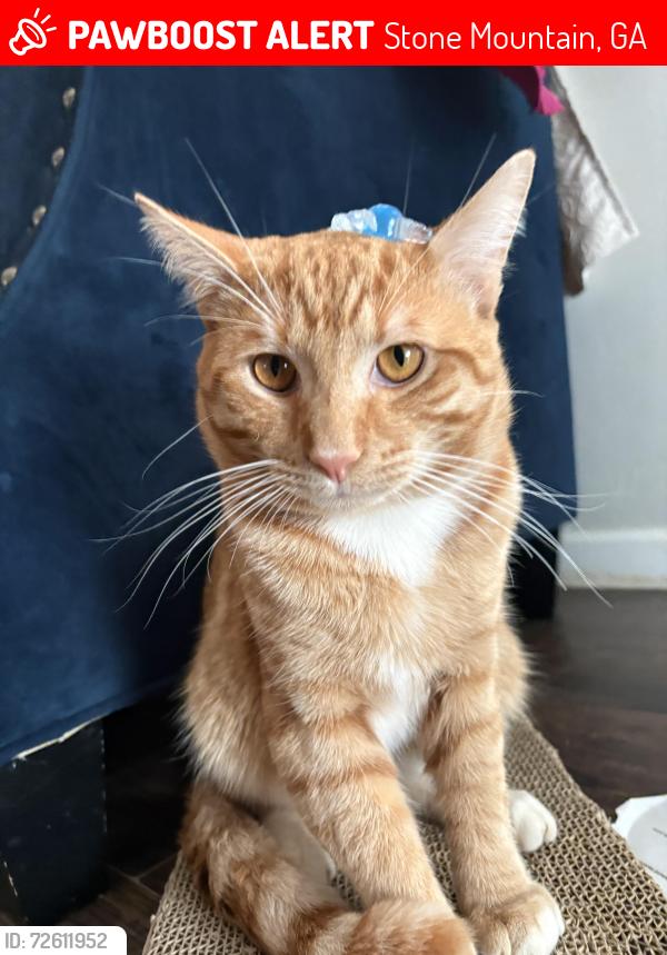 Lost Male Cat last seen Idlewood rd , Stone Mountain, GA 30083