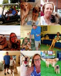 Lost Female Dog last seen Laskin road, Virginia Beach, VA 23451