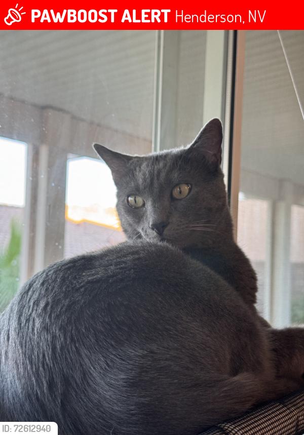 Lost Male Cat last seen Arroyo Grande baseball park, Henderson, NV 89074