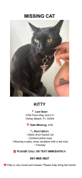 Lost Female Cat last seen Homewood and Atlantic. We live in fiore way, Delray Beach, FL 33445
