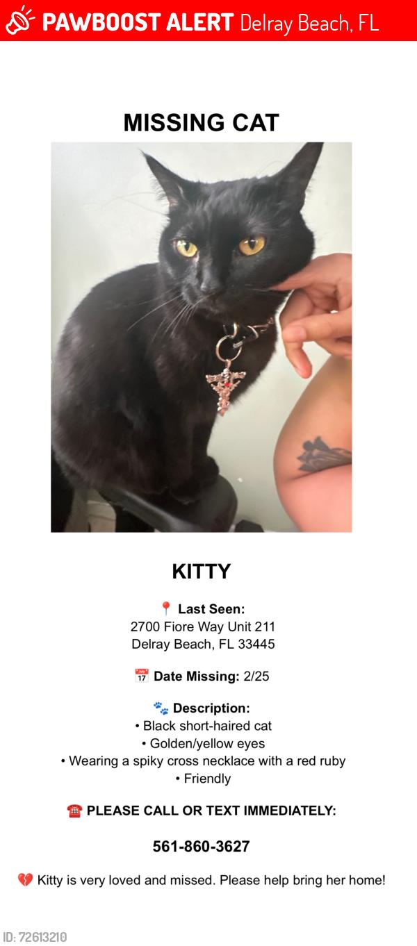 Lost Female Cat last seen Homewood and Atlantic. We live in fiore way, Delray Beach, FL 33445