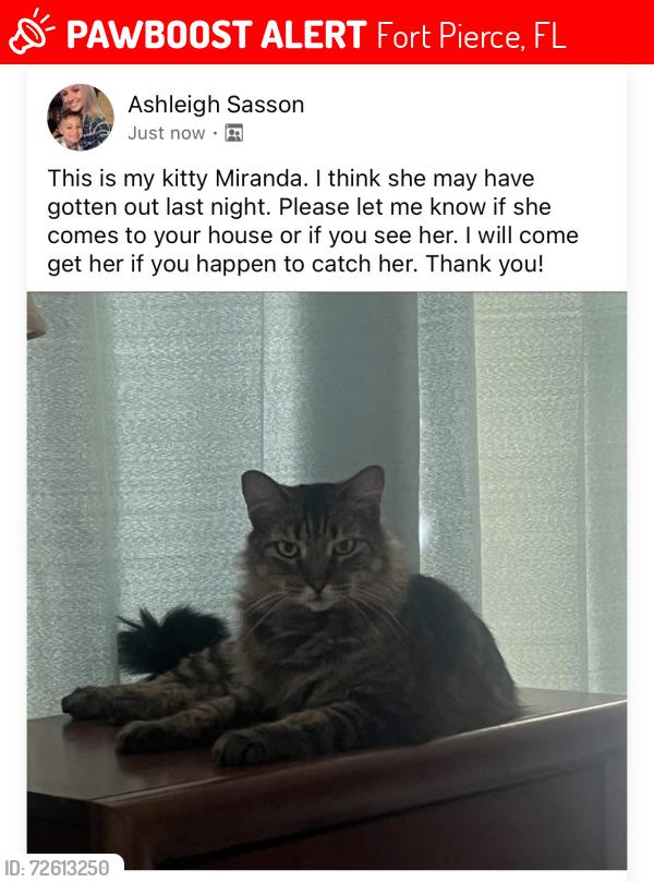 Lost Female Cat last seen Hartman and Peterson, Fort Pierce, FL 34947