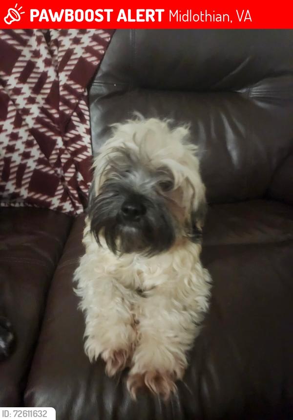Lost Female Dog last seen Bailey bridge, Midlothian, VA 23112