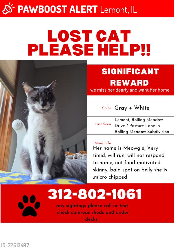 Lost Female Cat last seen Pasture Dr / Rolling Meadow Dr, Lemont, IL 60439