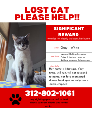 Lost Female Cat last seen Pasture Dr / Rolling Meadow Dr, Lemont, IL 60439