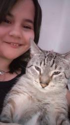 Lost Male Cat last seen Beville and Clyde Morris Blvd , Daytona Beach, FL 32114