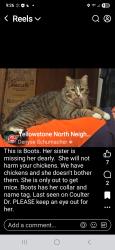 Lost Female Cat last seen Yellowstone and Coulter Drive , Cheyenne, WY 82009