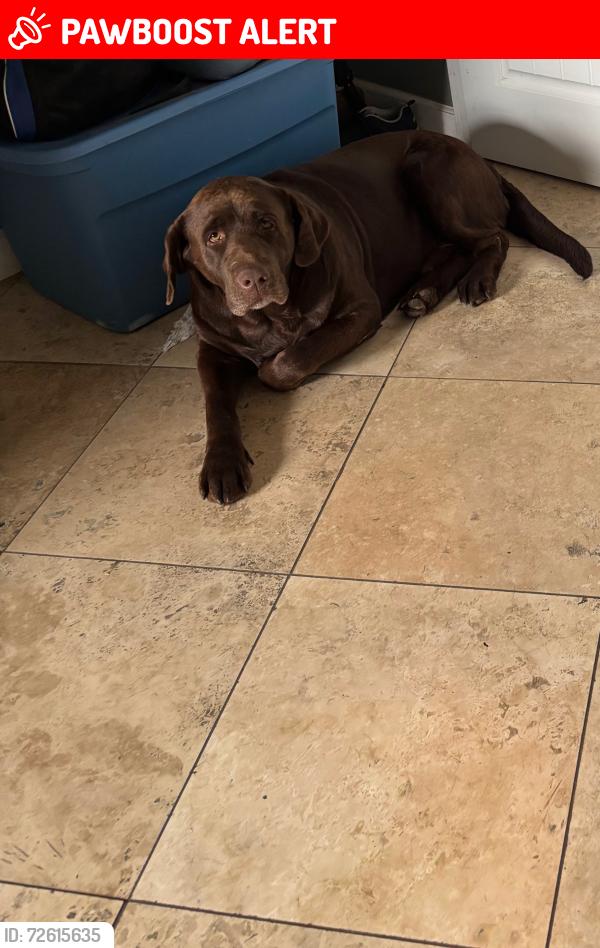Lost Male Dog last seen Highway 40 and SE Stubbs Road, Shawnee County, KS 66542