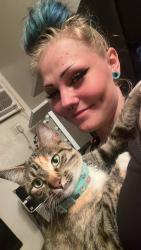 Lost Female Cat last seen Chambers and 120th, Brighton, CO 80603