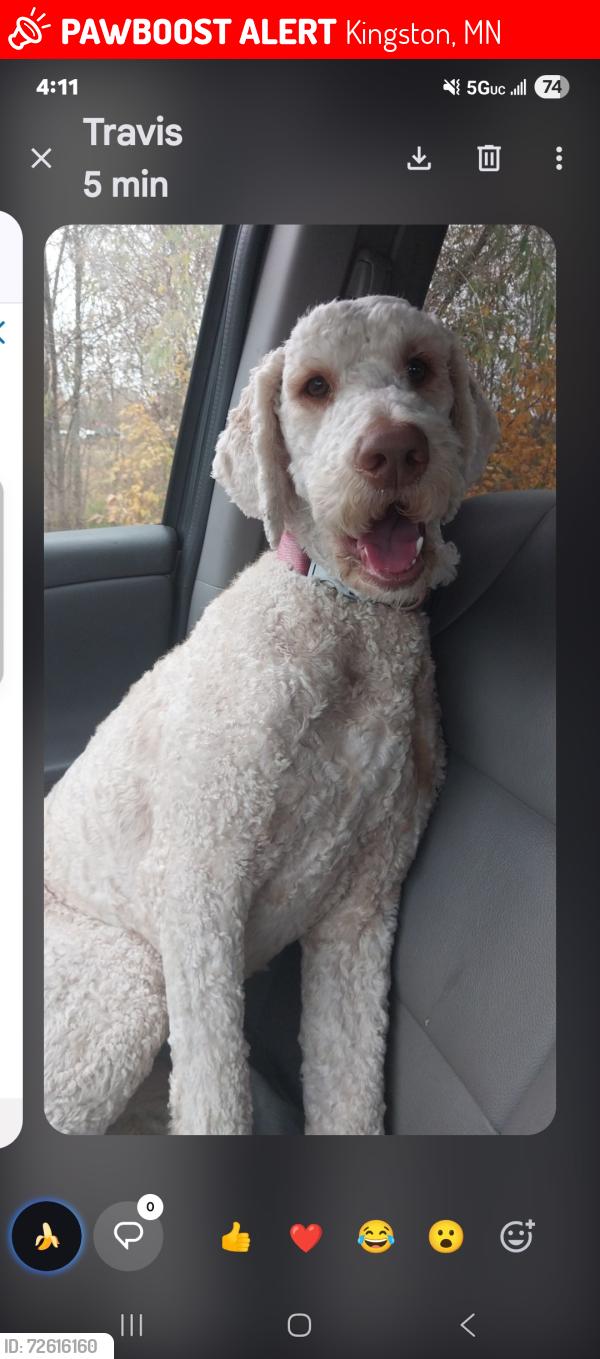 Lost Male Dog last seen Hwy15, off Lake St. Francis, St Francis, MN 55070