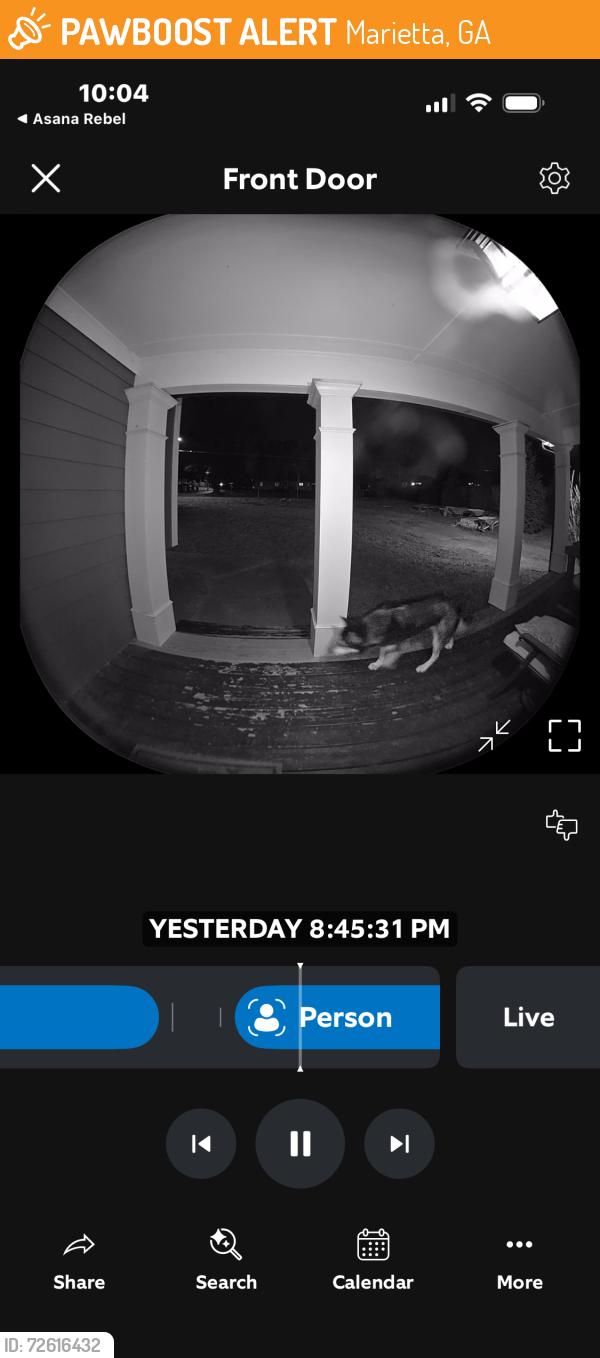 Found/Stray Unknown Dog last seen Boyd rd, Marietta, GA 30066