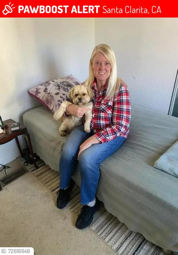 Lost Male Dog last seen Sierra Highway and Soledad Canyon Road , Santa Clarita, CA 91351